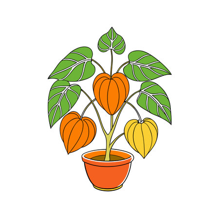 Distinctive Groundcherry Design for Modern Spacesのイラスト素材