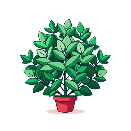 Hedge Plant Ilex Crenata Houseplant Bold Outline Artのイラスト素材
