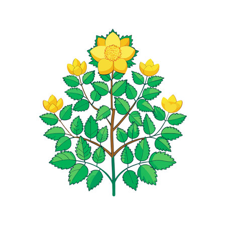 Vibrant Kerria Japonica Plant Art for Interiorsのイラスト素材