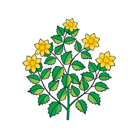 Charming Kerria Japonica Design for Home Decorのイラスト素材