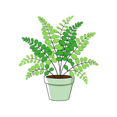 Elegant Maidenhair Fern Plant Designのイラスト素材