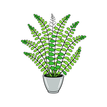 Unique Maidenhair Fern Houseplant Artのイラスト素材