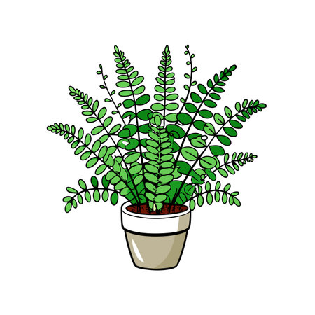 Unique Maidenhair Fern Art Designのイラスト素材