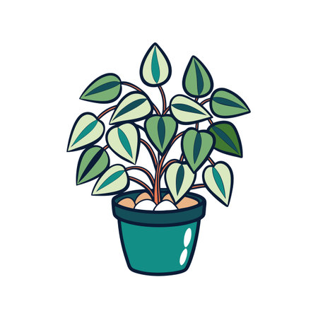 Vibrant Hoya Houseplant Designのイラスト素材
