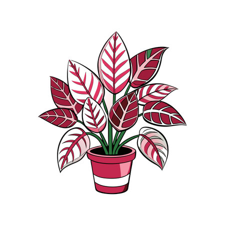 Stylish Iresine Herbstii Houseplant Art Designのイラスト素材