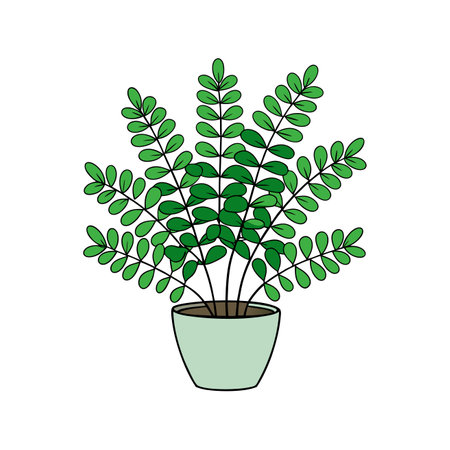 Stylish Maidenhair Fern Houseplant Artのイラスト素材