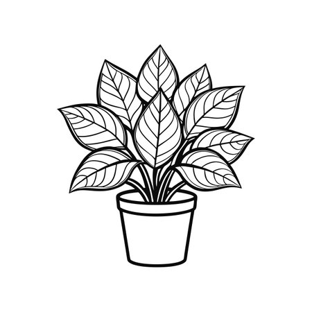 Artistic Velvet Plant Houseplant Designのイラスト素材