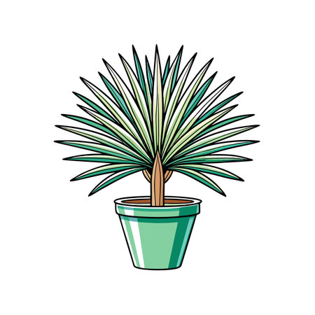 Elegant Xanthorrhoea Houseplant Illustrationのイラスト素材