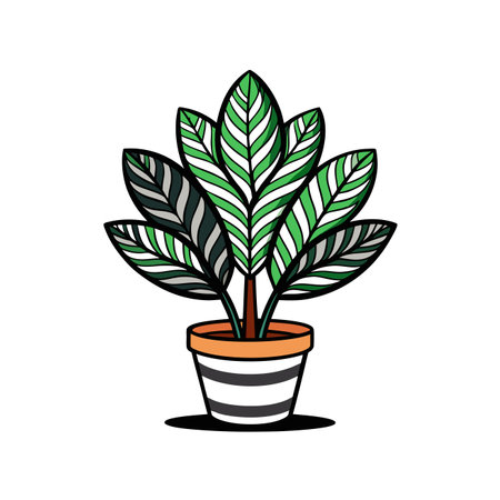 Stylish Zebrina Houseplant Graphicのイラスト素材