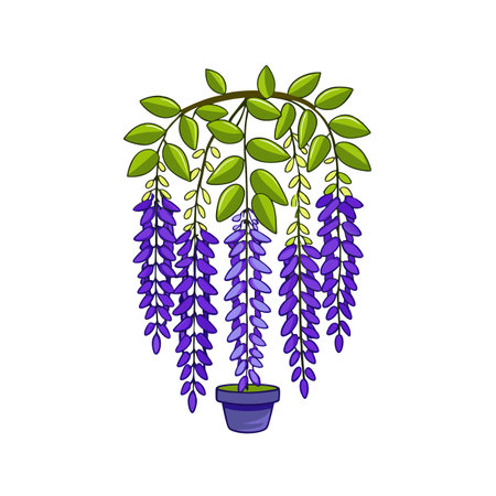 Elegant Wisteria Houseplant Illustrationのイラスト素材