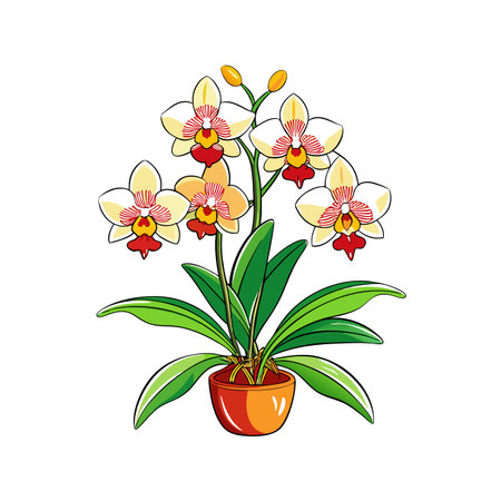 Elegant Oncidium Orchid Plant Designのイラスト素材
