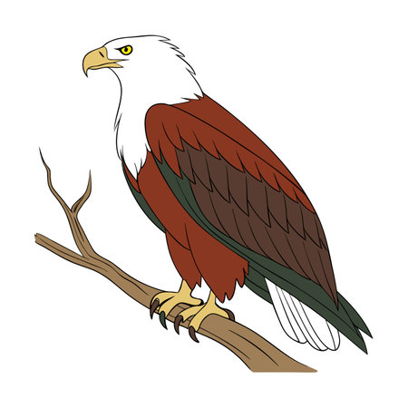 Vibrant African Fish Eagle Artworkのイラスト素材