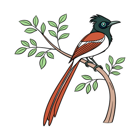 Vibrant African Paradise Flycatcher Artworkのイラスト素材