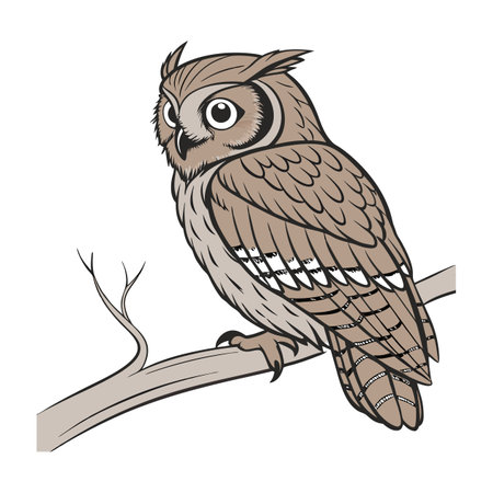 Stunning African Scops Owl Detailed Illustrationのイラスト素材