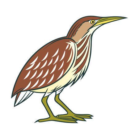 Stunning American Bittern Bird Representationのイラスト素材