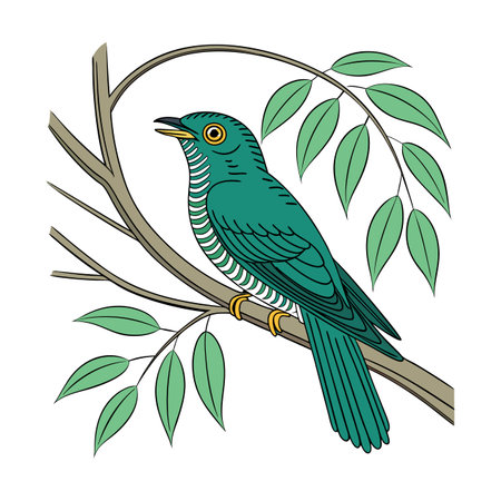 Vibrant Asian Emerald Cuckoo Bird Detailed Illustrationのイラスト素材