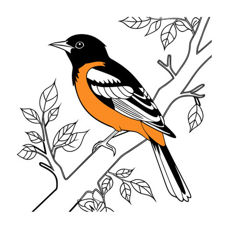 Dynamic Baltimore Oriole Bird Artworkのイラスト素材