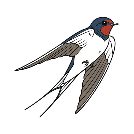 Stunning Barn Swallow Designのイラスト素材