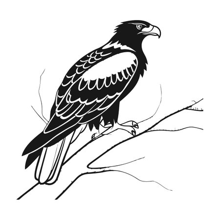 Dynamic Black-Breasted Buzzard Bird Artworkのイラスト素材
