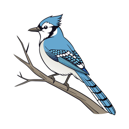 Dynamic Blue Jay Bird Artworkのイラスト素材