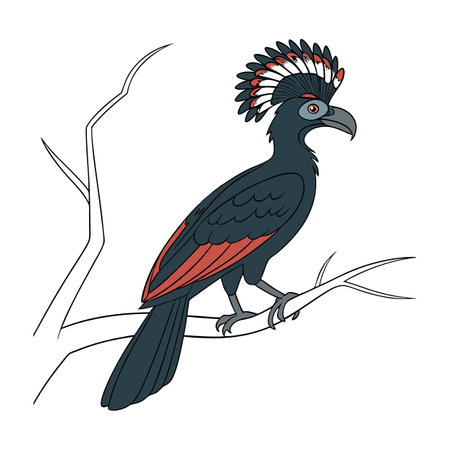 Realistic Amazonian Umbrellabird Artworkのイラスト素材