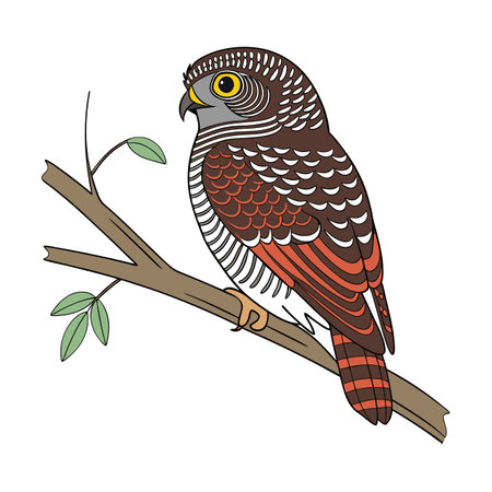 Charming African Barred Owlet Designのイラスト素材