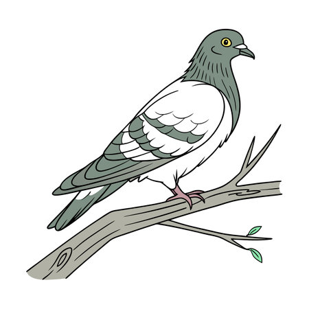 Common Pigeon Bird Colorful Artworkのイラスト素材