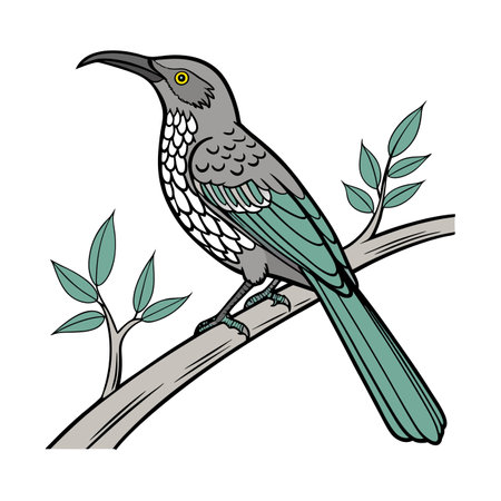 Stunning Curve-billed Thrasher Bird Illustrationのイラスト素材
