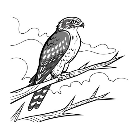 Realistic Common Nighthawk Bird Illustrationのイラスト素材