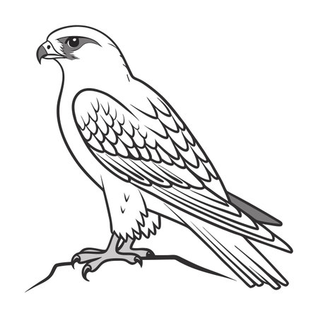 Vivid Gyrfalcon Bird Designのイラスト素材