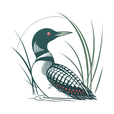 Common Loon Bird Colorful Artworkのイラスト素材