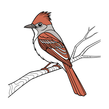 Vivid Great Crested Flycatcher Bird Designのイラスト素材