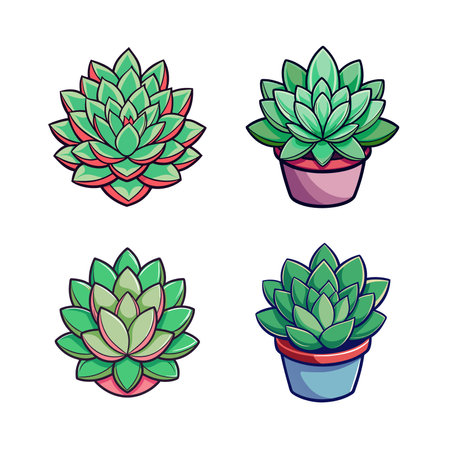 Charming Sedum Houseplant Designのイラスト素材