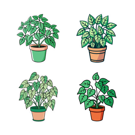 Charming Sierra Ivy Houseplant Designのイラスト素材