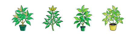 Lemon Verbena Houseplant Bold Outline Designのイラスト素材