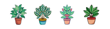 Bold Ruttya Houseplant Illustrationのイラスト素材