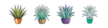 Artistic Sedge Houseplant Designのイラスト素材