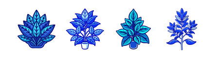 Bold Salvia Blue Hill Houseplant Illustrationのイラスト素材