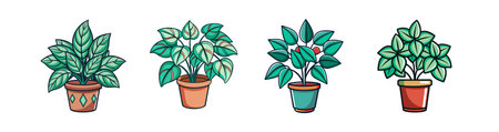 Charming Wintergreen Houseplant Designのイラスト素材