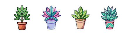 Bold Wax Plant Houseplant Artworkのイラスト素材
