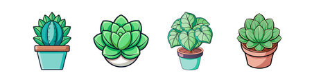 Lophophora Houseplant Bold Outline Artのイラスト素材