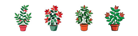 Vibrant Aeschynanthus Radicans Houseplant Artのイラスト素材