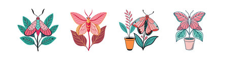 Rosy Maple Moth Houseplant Illustrationのイラスト素材