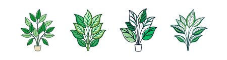 Bold Solomon's Seal Houseplant Artworkのイラスト素材