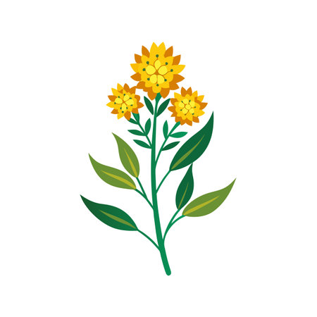 Elegant Flat Top Goldenrod Designのイラスト素材
