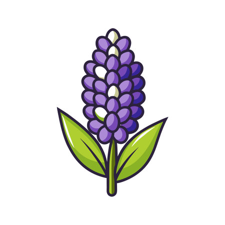 Elegant Grape Hyacinth Designのイラスト素材