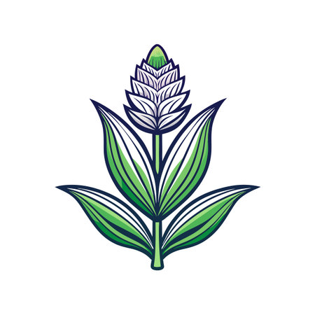 Stylish Veratrum Flower Designのイラスト素材