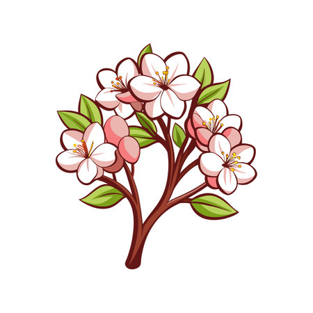 Beautiful Almond Blossom Bouquet Flower Illustrationのイラスト素材