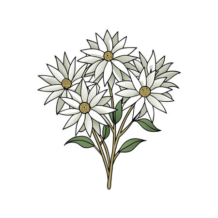Beautiful Flannel Flower Bouquet Artのイラスト素材