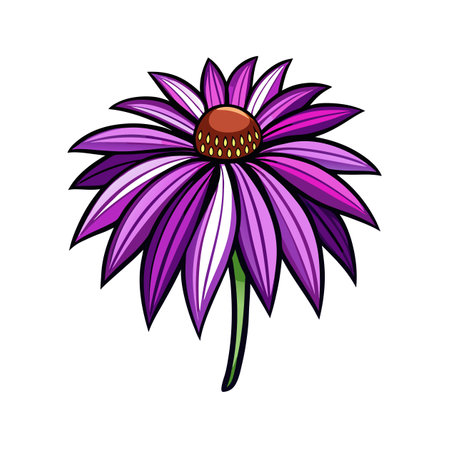 Purple Coneflower Bold Outline Artworkのイラスト素材